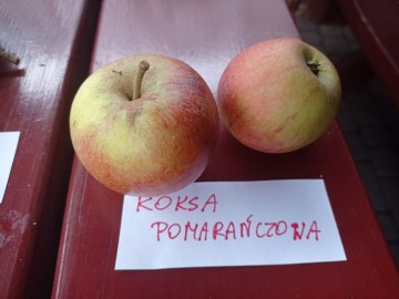 Szkolenie sadownicze w Plichtowie 22.09.2021r. fot. KR.Sosnowska, 